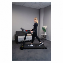 Беговая дорожка ALS 1120