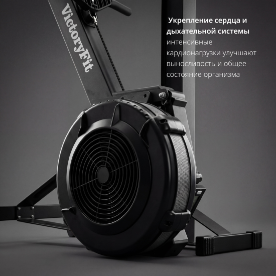 Аэродинамический гребной тренажер VF-AR700