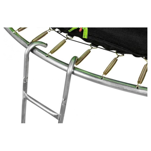 Батут Alpin Sky 10ft - 312 см с защитной сеткой и лестницей