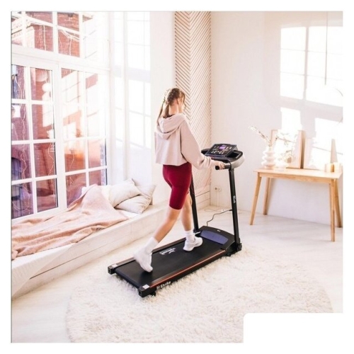 Электрическая беговая дорожка Orlauf Shrike (черный)