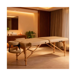 Массажный стол DFC PROFI2 TS212H складной