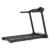Беговая дорожка CardioPower TT30