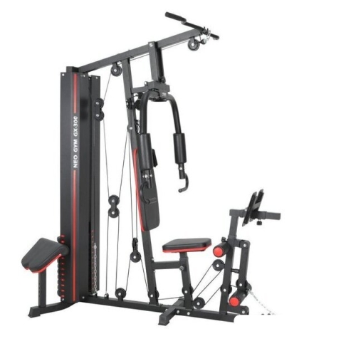 Силовой комплекс Alpin Neo Gym GX-300