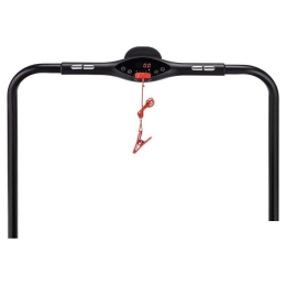 Электрическая беговая дорожка Orlauf Vultur (черный) 10229531