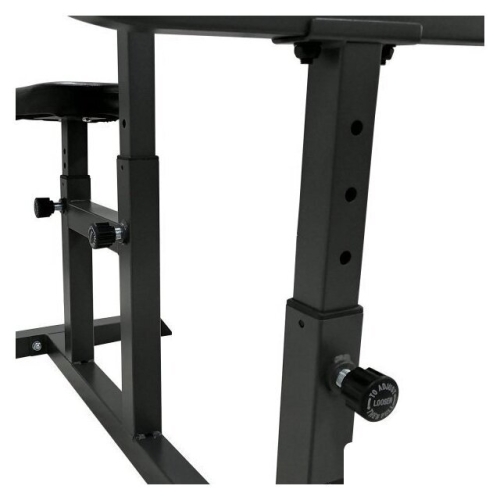 Скамья Скотта DFC Homegym UB008