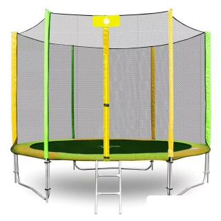 Батут Alpin ATGY-252 2.52 м с защитной сеткой и лестницей 9771623