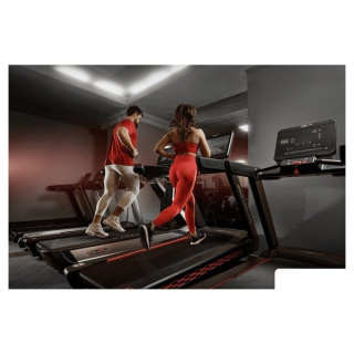 Электрическая беговая дорожка UltraGym UG-Power 010 9386977