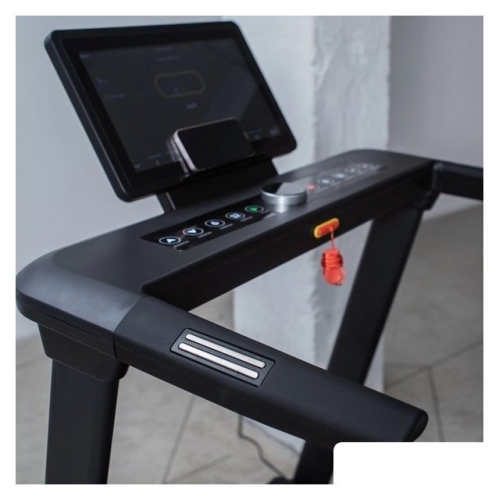 Электрическая беговая дорожка Orlauf Ultima TFT (черный)