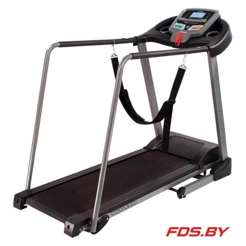 Электрическая беговая дорожка Walker EVO T-S1 DFC 3749302