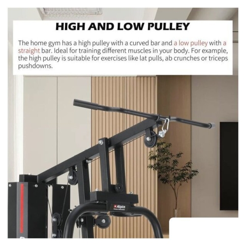 Силовой комплекс Alpin Neo Gym GX-300