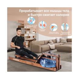 Гребной тренажер DFC RUNOW Brown Wood