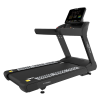 Беговая дорожка CardioPower профессиональный (PRO) CT350