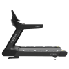 Беговая дорожка CardioPower профессиональный (PRO) CT350