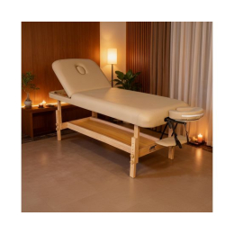 Массажный стационарный стол DFC SUPERIOR2 TS200/2 с регулировкой для спины/ног