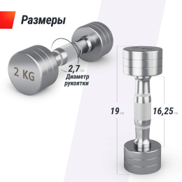 Гантель UNIX Fit PRO круглая хромированная 2 кг, 2 шт.