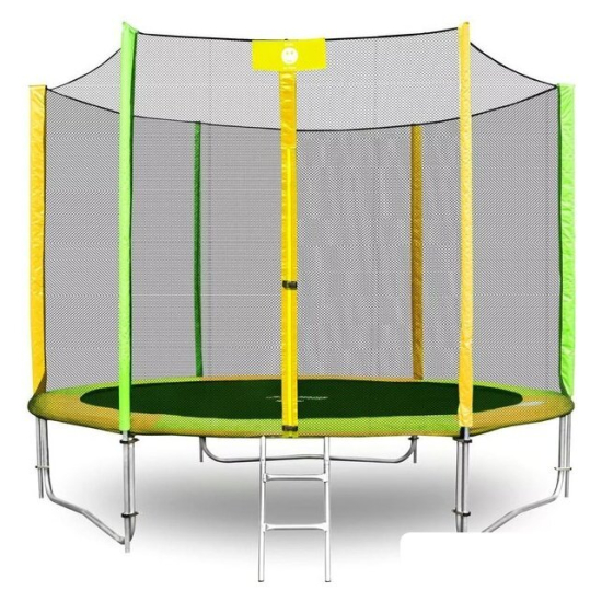 Батут Alpin ATGY-312 3.12 м с защитной сеткой и лестницей