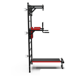 Шведская стенка (лестница) DFC D-1235 8984191