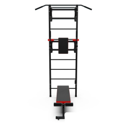 Шведская стенка (лестница) DFC D-1235 8984191