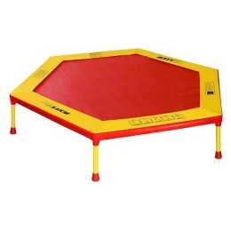 Батут Leco-IT Home 160см 2791542