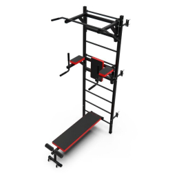 Шведская стенка (лестница) DFC D-1235 8984191