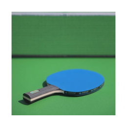 Ракетка DONIC COLOR Z BLUE