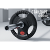 Диск 31 мм. обрезиненный с 3-мя хватами  1,25 кг (2 штуки)   VictoryFit VF-S250125-2