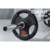 Диск 31 мм. обрезиненный с 3-мя хватами  2,5 кг (2 штуки)   VictoryFit VF-S250250-2