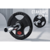 Диск 31 мм. обрезиненный с 3-мя хватами 10 кг (2 штуки)   VictoryFit VF-S251000-2