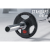 Диск 51 мм.  обрезиненный с 3-мя хватами  5 кг (2 штуки)   VictoryFit VF-S510500-2