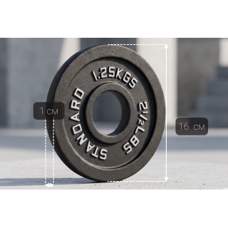 Диск 51 мм. чугунный окрашенный  1,25 кг (2 штуки)   VictoryFit VF-SC510125-2