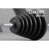 Диск 51 мм. чугунный окрашенный  1,25 кг (2 штуки)   VictoryFit VF-SC510125-2