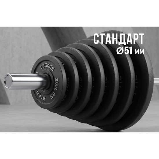 Диск 51 мм. чугунный окрашенный  1,25 кг (2 штуки)   VictoryFit VF-SC510125-2