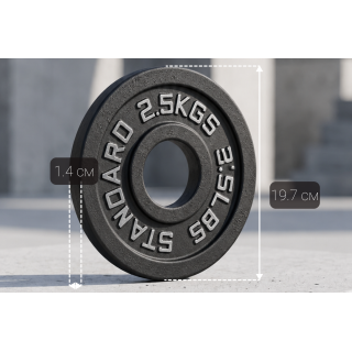 Диск 51 мм. чугунный окрашенный  2,5 кг (2 штуки)   VictoryFit VF-SC510250-2