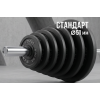 Диск 51 мм. чугунный окрашенный  2,5 кг (2 штуки)   VictoryFit VF-SC510250-2