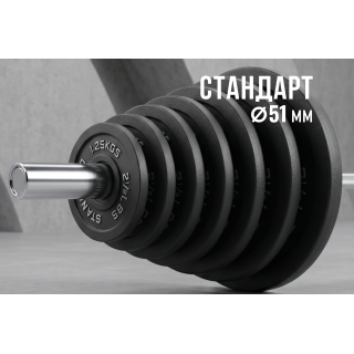 Диск 51 мм. чугунный окрашенный  2,5 кг (2 штуки)   VictoryFit VF-SC510250-2