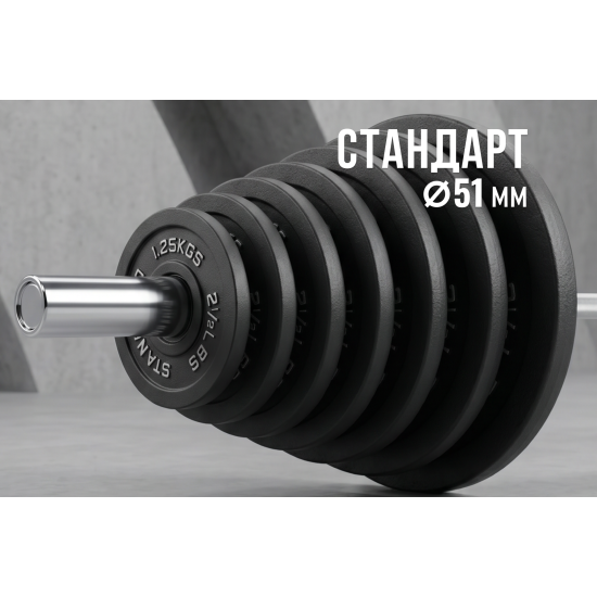 Диск 51 мм. чугунный окрашенный  2,5 кг (2 штуки)   VictoryFit VF-SC510250-2