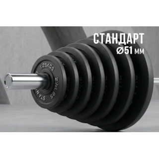 Диск 51 мм. чугунный окрашенный  5 кг (2 штуки)   VictoryFit VF-SC510500-2