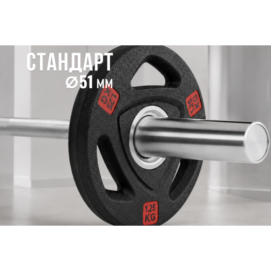 Диск 51 мм. NEO обрезиненный с 3-мя хватами  1,25 кг (2 штуки)   VictoryFit VF-ST510125-2