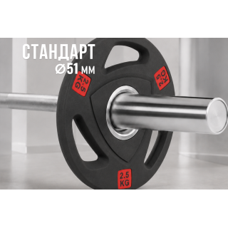 Диск 51 мм. NEO обрезиненный с 3-мя хватами  2,5 кг (2 штуки)   VictoryFit VF-ST51025-2