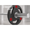 Диск 51 мм. NEO обрезиненный с 3-мя хватами 10 кг (2 штуки)   VictoryFit VF-ST51100-2