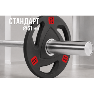 Диск 51 мм. NEO обрезиненный с 3-мя хватами 10 кг (2 штуки)   VictoryFit VF-ST51100-2