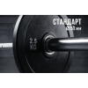 Диск бамперный 51 мм. обрезиненный  2,5 кг (2 штуки)   VictoryFit VF-D51025-2