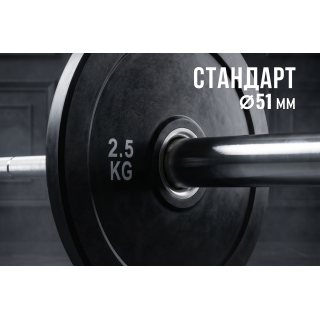 Диск бамперный 51 мм. обрезиненный  2,5 кг (2 штуки)   VictoryFit VF-D51025-2