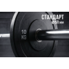 Диск бамперный 51 мм. обрезиненный 10 кг (2 штуки)   VictoryFit VF-D51100-2