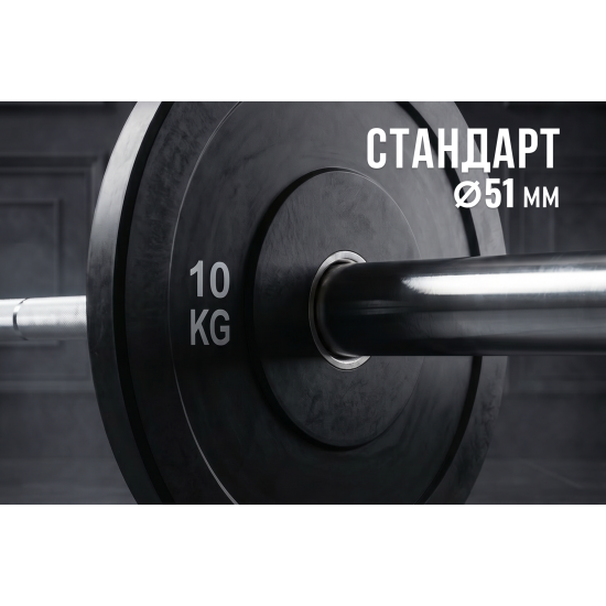 Диск бамперный 51 мм. обрезиненный 10 кг (2 штуки)   VictoryFit VF-D51100-2