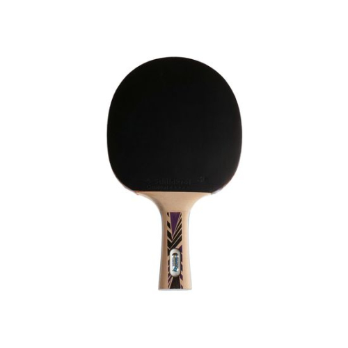 Ракетка DONIC LEGENDS 800