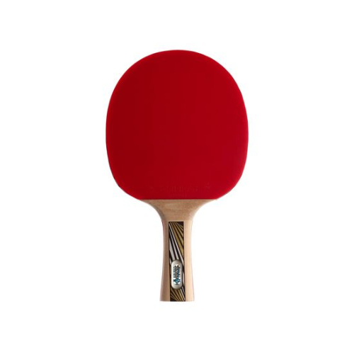 Ракетка DONIC LEGENDS GOLD