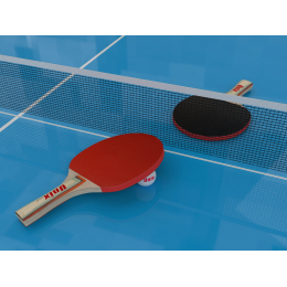 Всепогодный теннисный стол UNIX Line outdoor 6mm (Blue)