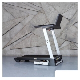 Электрическая беговая дорожка Orlauf Harrier (серый) 10229525