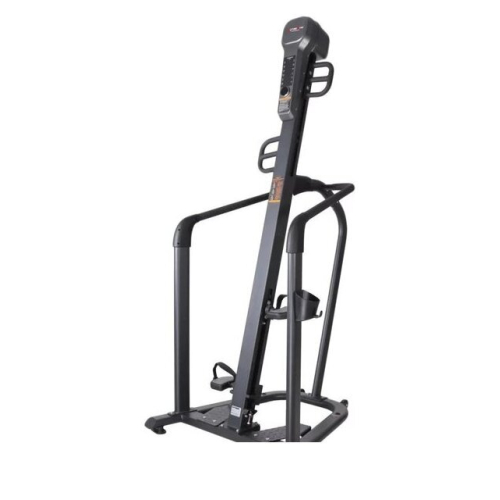 Лестница UltraGym UG-ST002